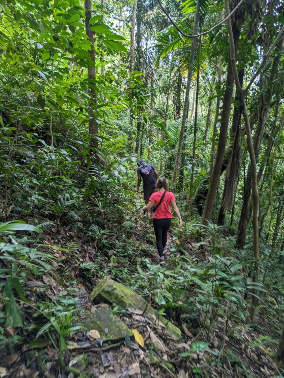 Gallene Gala Nature Resort Kitulgala Luaran gambar