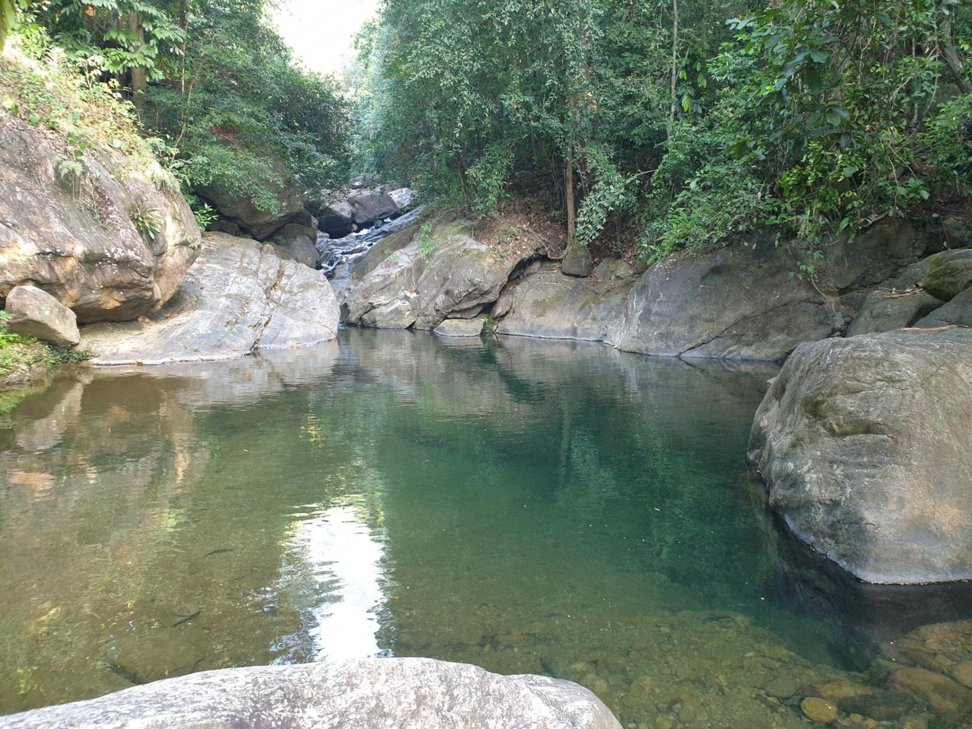 Gallene Gala Nature Resort Kitulgala Luaran gambar