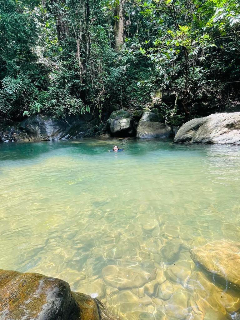 Gallene Gala Nature Resort Kitulgala Luaran gambar