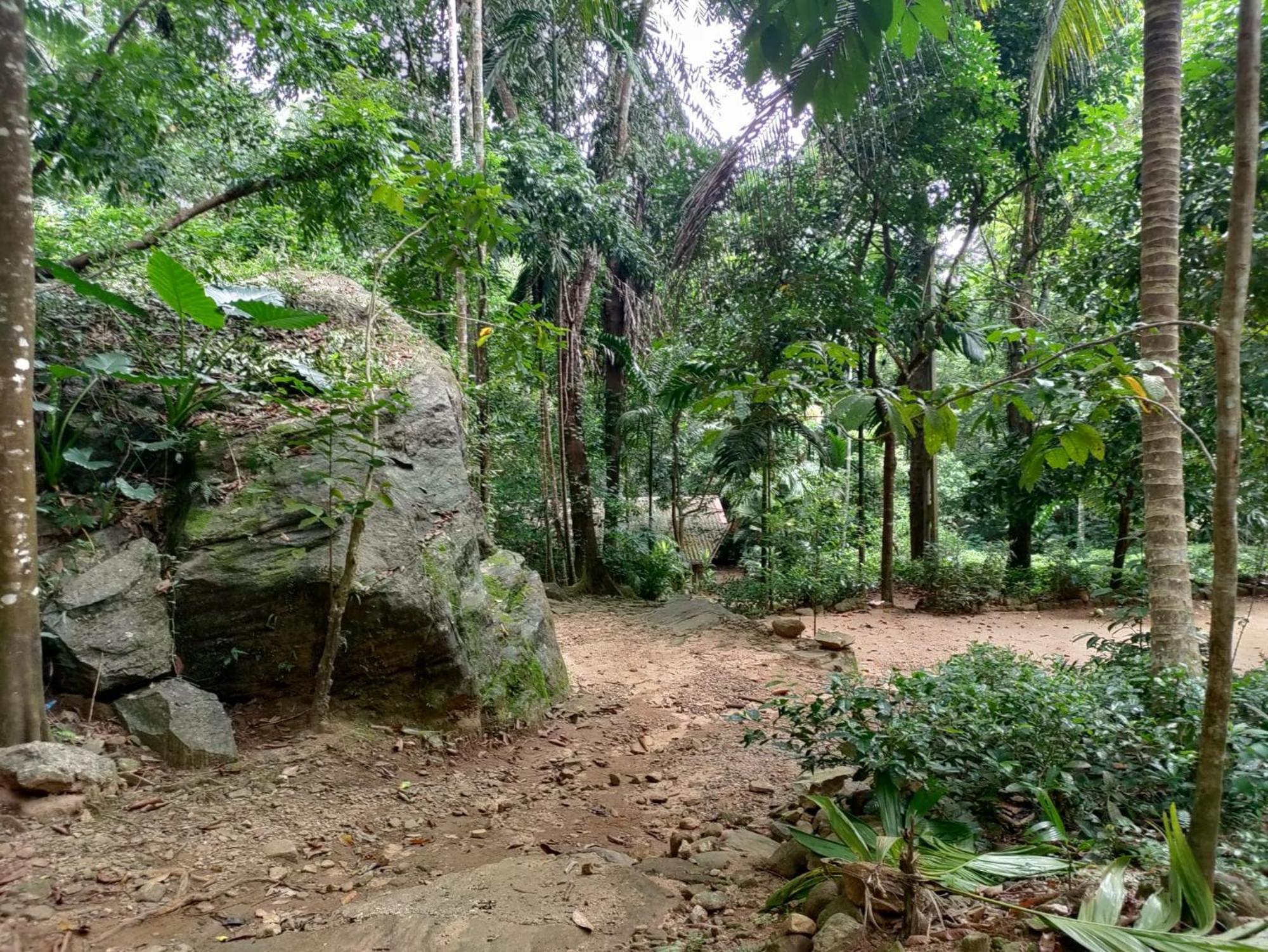 Gallene Gala Nature Resort Kitulgala Luaran gambar