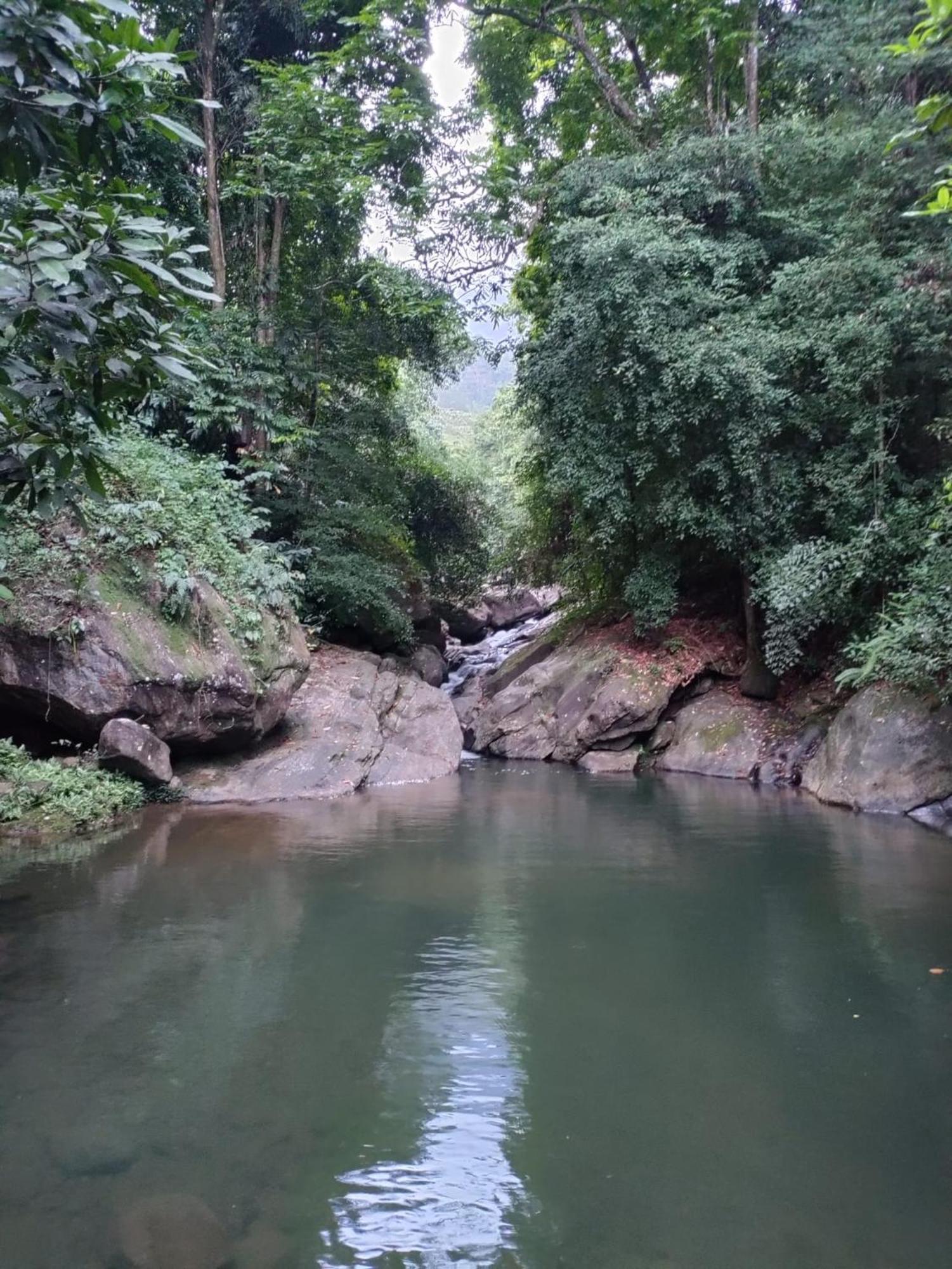 Gallene Gala Nature Resort Kitulgala Luaran gambar