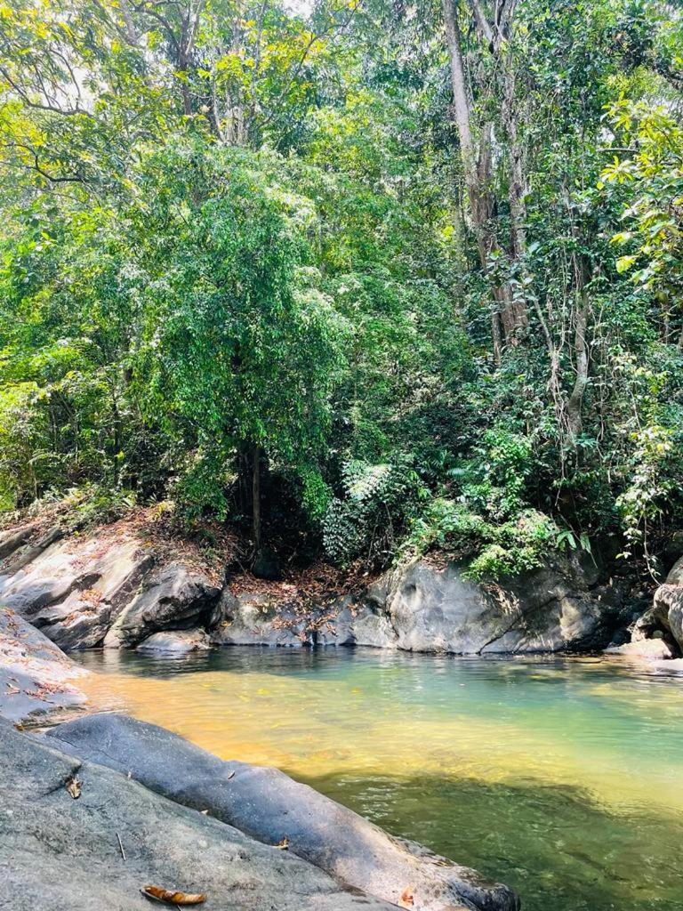 Gallene Gala Nature Resort Kitulgala Luaran gambar