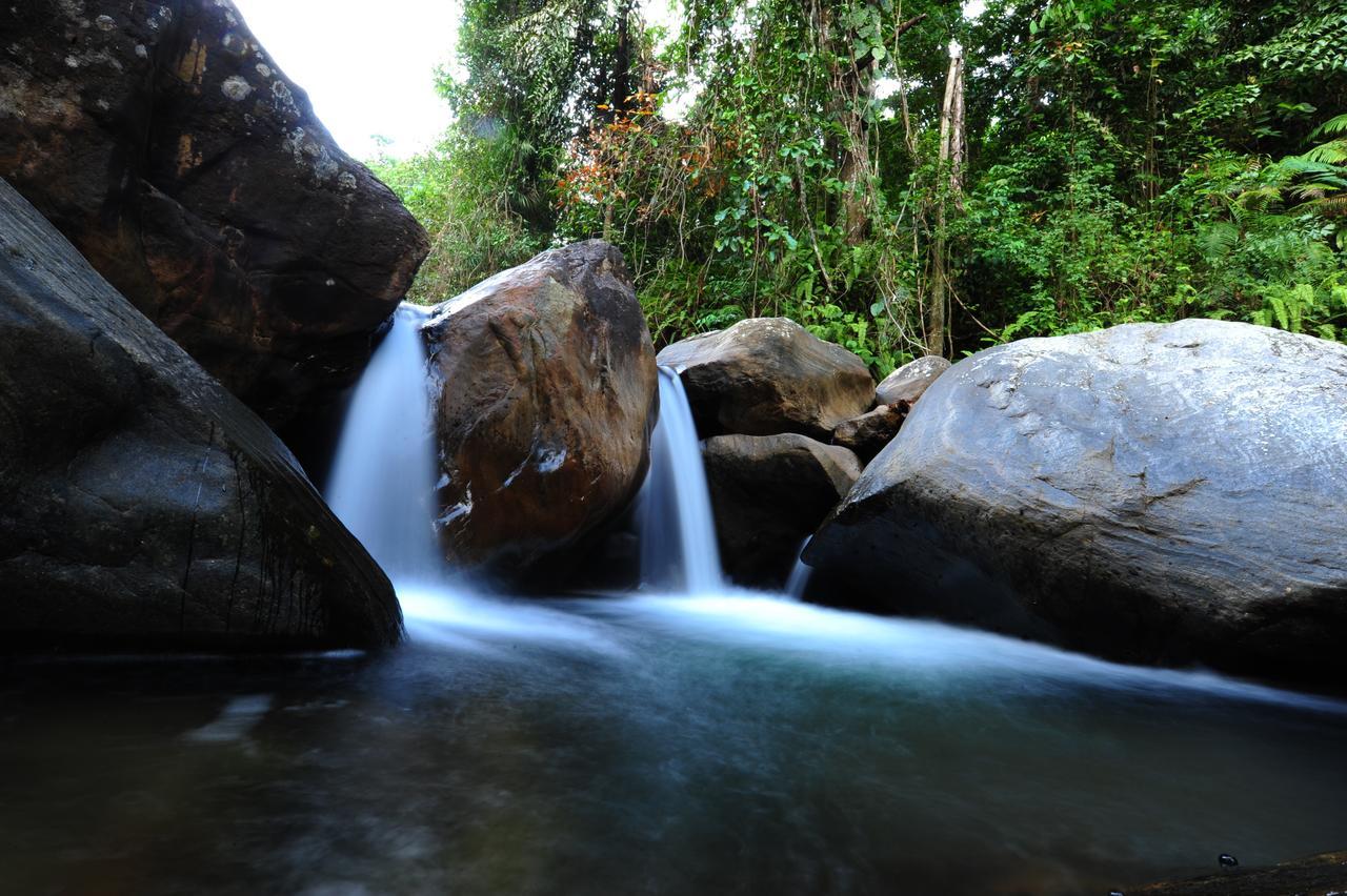 Gallene Gala Nature Resort Kitulgala Luaran gambar