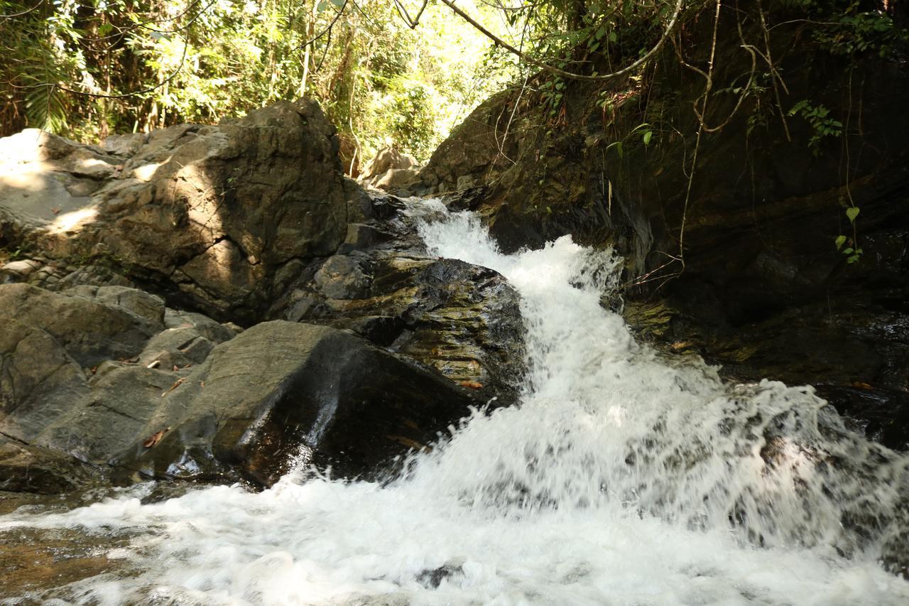 Gallene Gala Nature Resort Kitulgala Luaran gambar