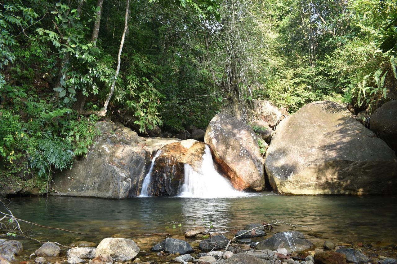 Gallene Gala Nature Resort Kitulgala Luaran gambar