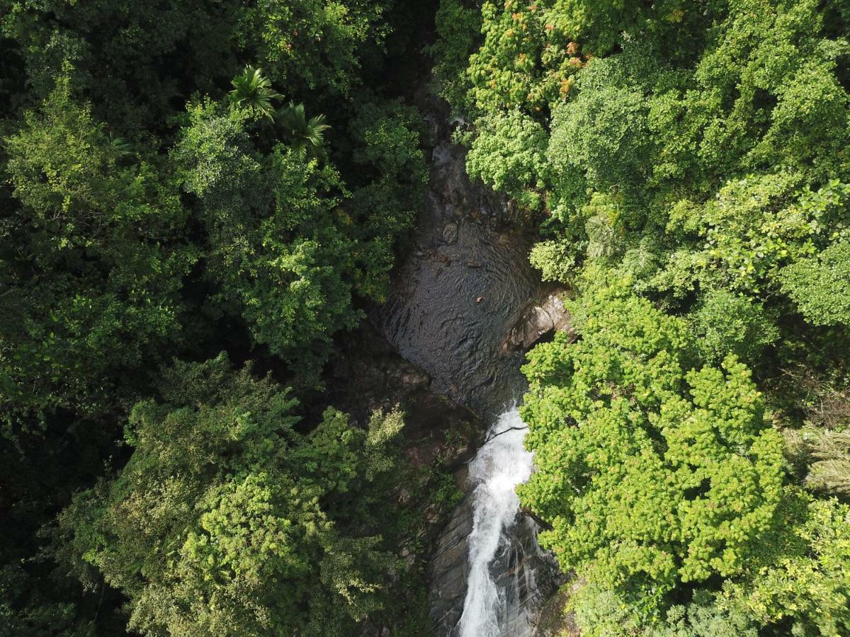 Gallene Gala Nature Resort Kitulgala Luaran gambar